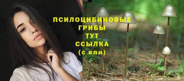 экстази Волоколамск