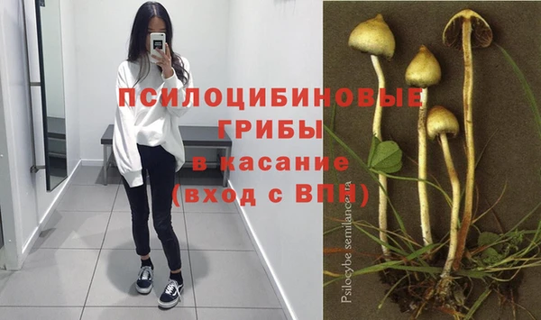 МДПВ Волосово