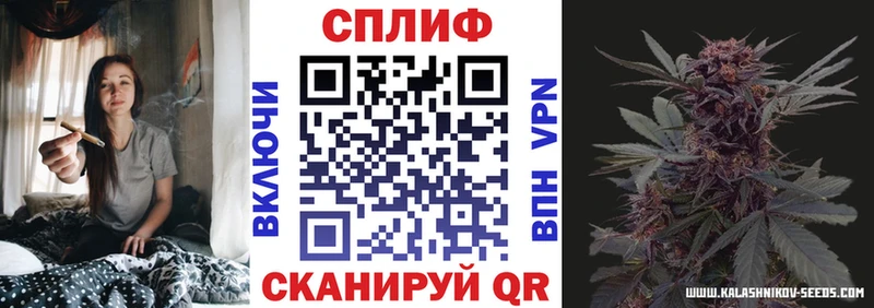 нарко площадка формула  Лихославль  Бошки марихуана план 